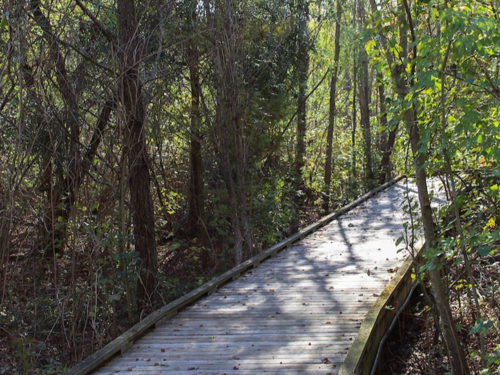 Audubon Louisiana Nature Center & Planetarium