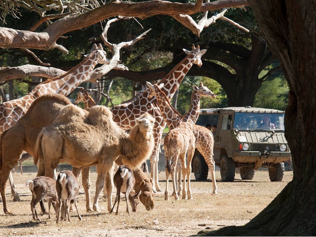 Global Wildlife Center