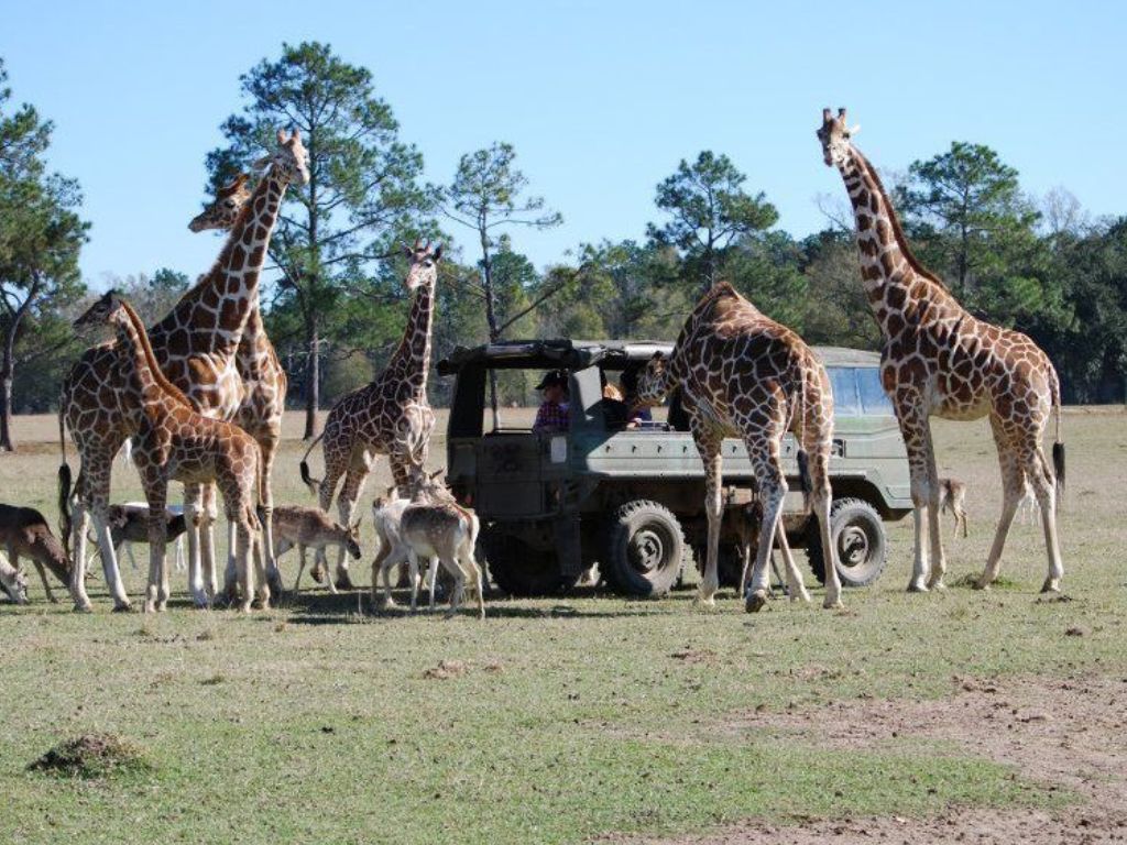 Global Wildlife Center 1