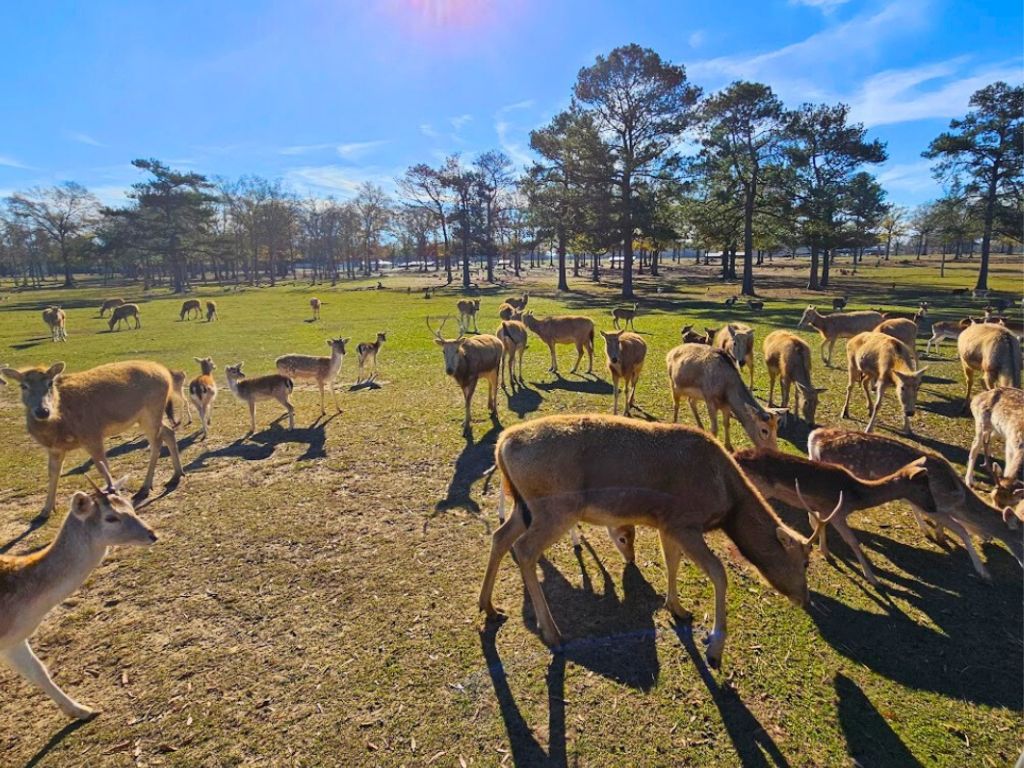 Global Wildlife Center 2