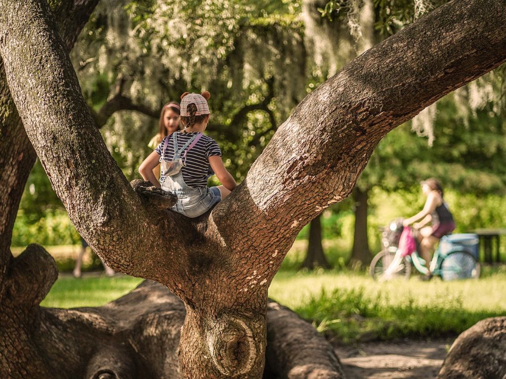 New Orleans City Park 1