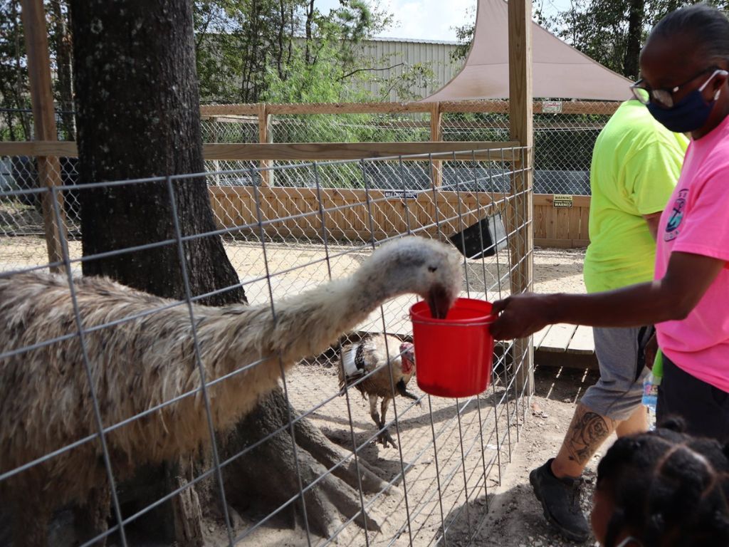 Kliebert & Sons Gator Tours 3