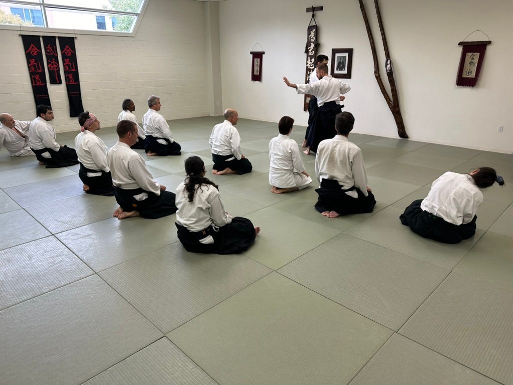 NOLA Aikido 1