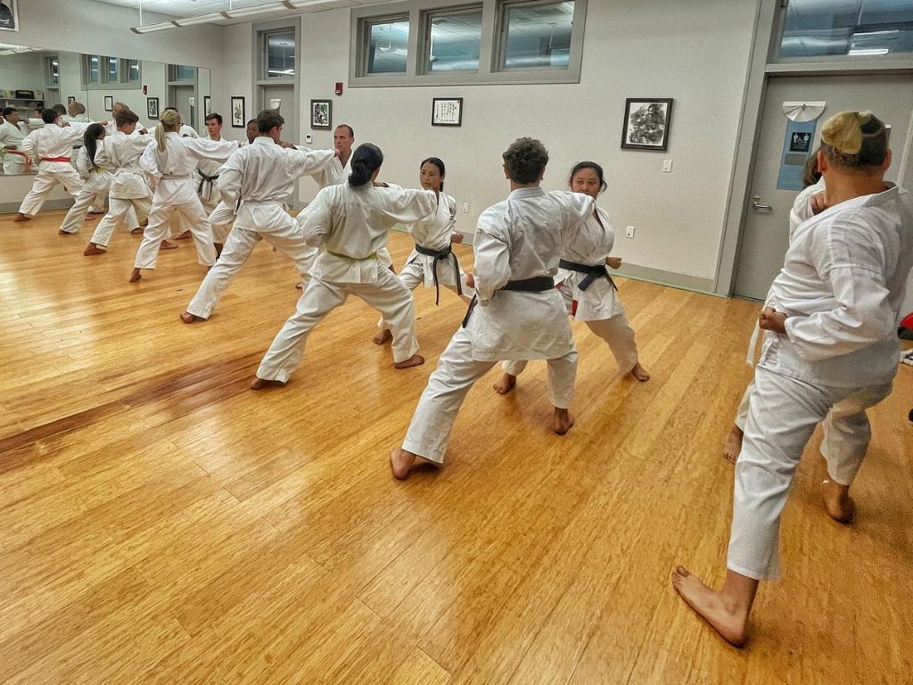 New Orleans Shotokan Academy 1